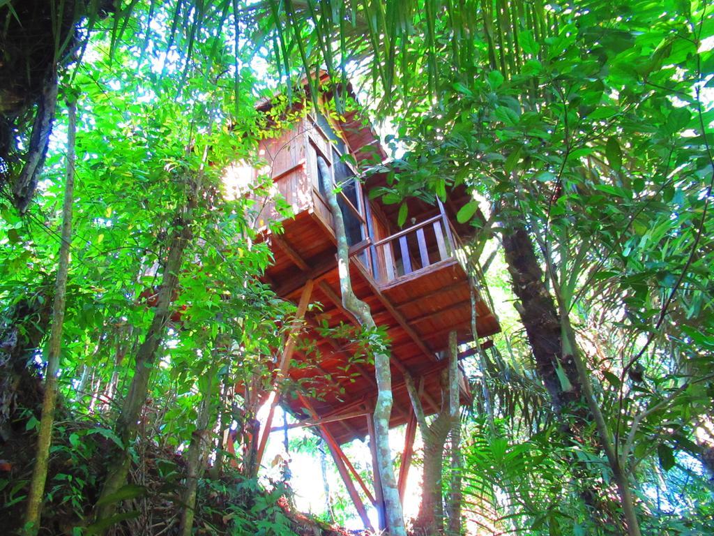Hars Garden Tree Houses Hotel Ubud Eksteriør billede