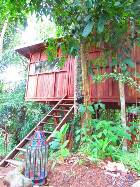 Hars Garden Tree Houses Hotel Ubud Eksteriør billede